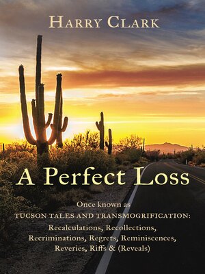 cover image of A Perfect Loss